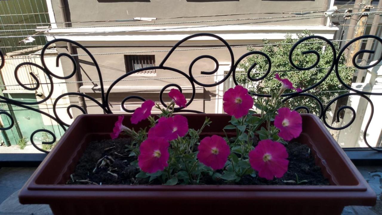 Casa Fibonacci Hotel Valparaiso Ngoại thất bức ảnh